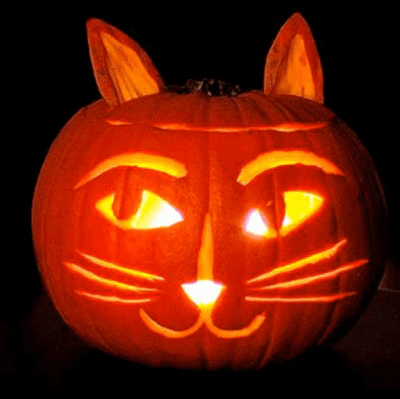 cat pumpkin carving patterns
