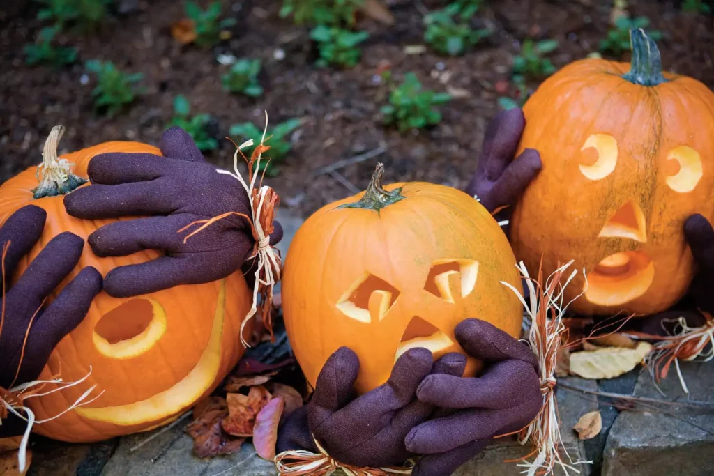 pumpkin carving patterns kid friendly